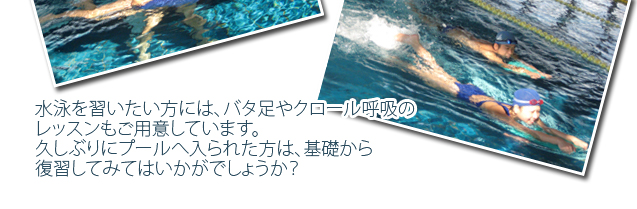 水泳を習いたい方には、バタ足やクロール呼吸のレッスンもご用意しています。久しぶりにプールへ入られた方は、基礎から復習してみてはいかがでしょうか？